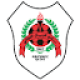 Badge Al-Rayyan SC